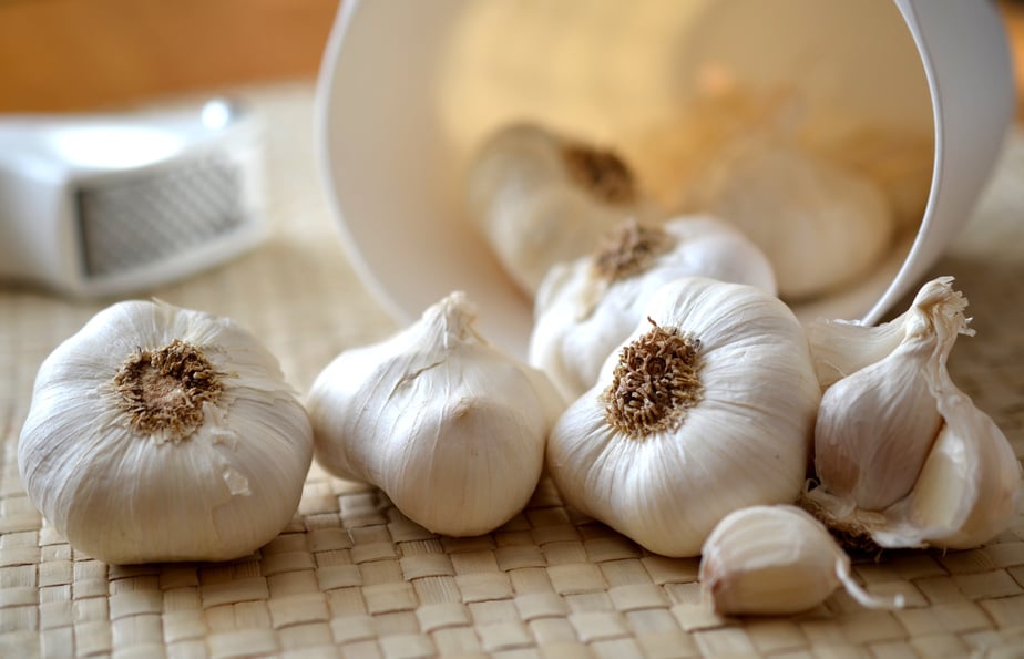 Cloves of Garlic